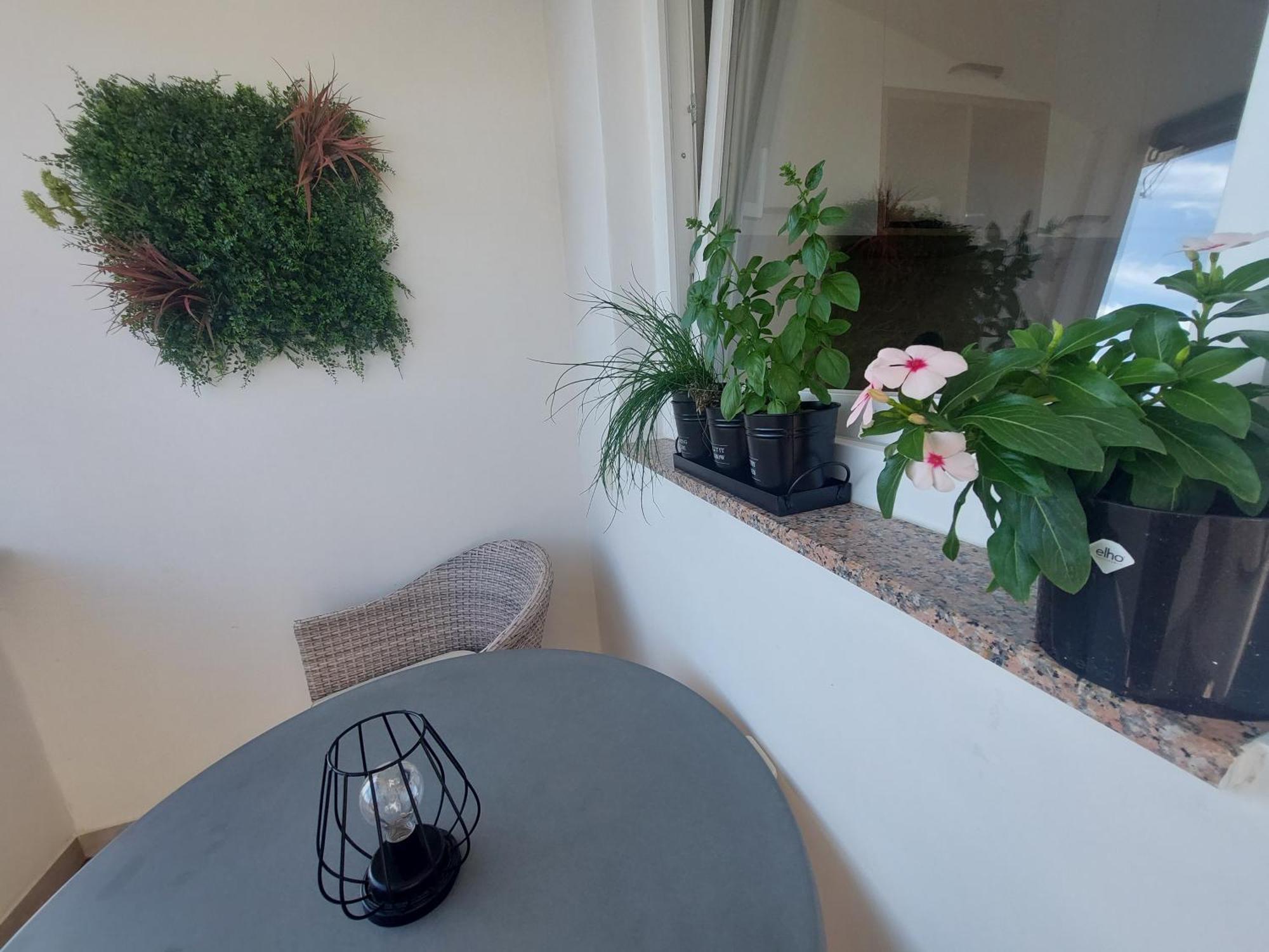 Petra Rooms And Apartments Palit 객실 사진